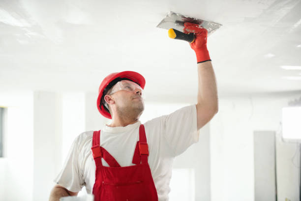 Best Water Damage & Mold Remediation  in USA